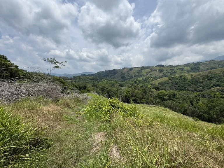 50 Acre Waterfall and River Paradise Above Dominical, photo 15