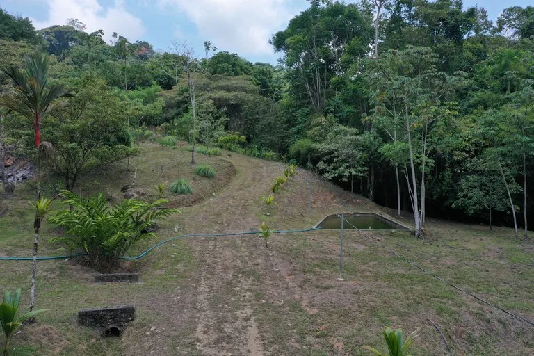 50 Acre Waterfall and River Paradise Above Dominical, photo 5