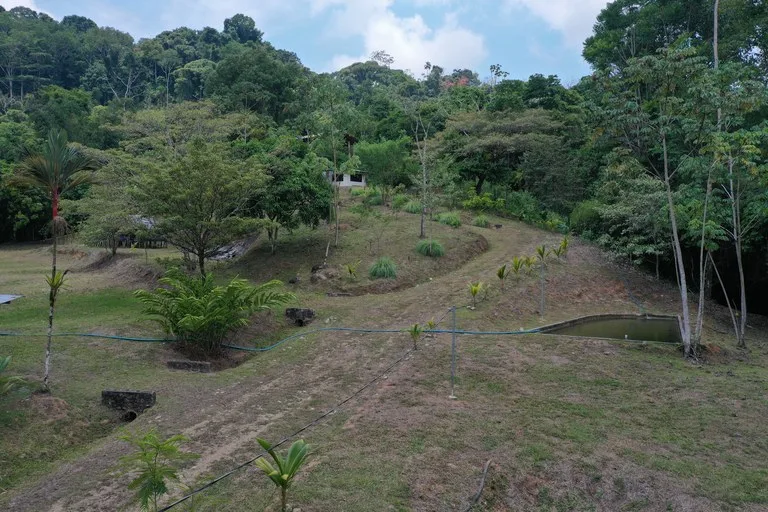 50 Acre Waterfall and River Paradise Above Dominical, photo 6