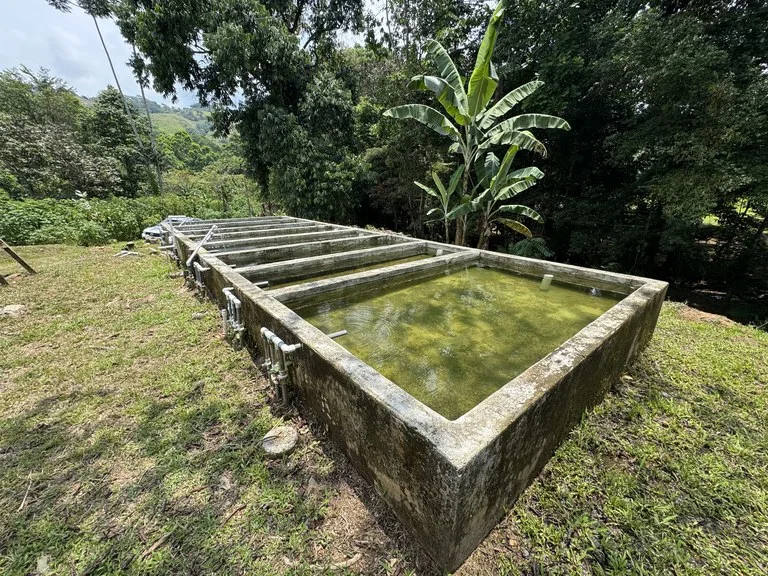 50 Acre Waterfall and River Paradise Above Dominical, photo 7