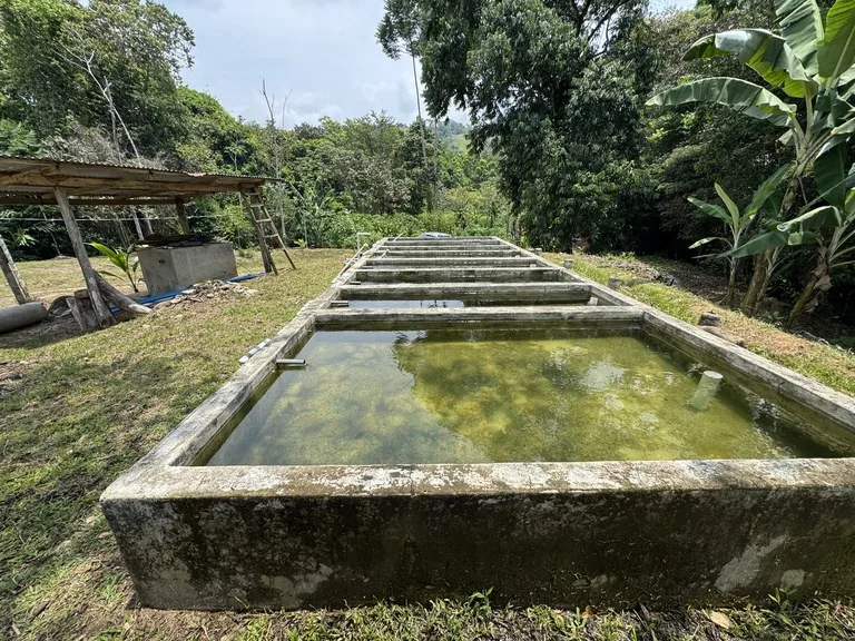 50 Acre Waterfall and River Paradise Above Dominical, photo 8