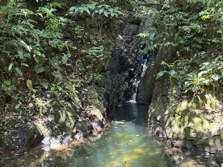 50 Acre Waterfall and River Paradise Above Dominical, photo 10