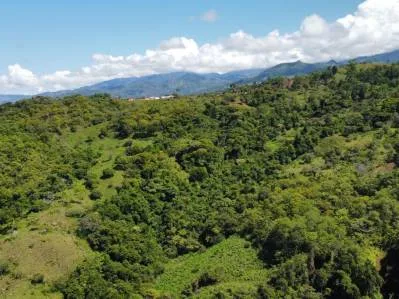 Finca con excelentes vistas, Rios y múltiples áreas para construir en San Blass de Pérez  Zeledón., photo 7