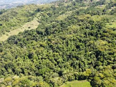 Finca con excelentes vistas, Rios y múltiples áreas para construir en San Blass de Pérez  Zeledón., photo 8
