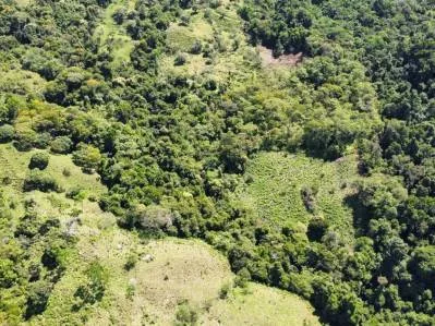 Finca con excelentes vistas, Rios y múltiples áreas para construir en San Blass de Pérez  Zeledón., photo 9