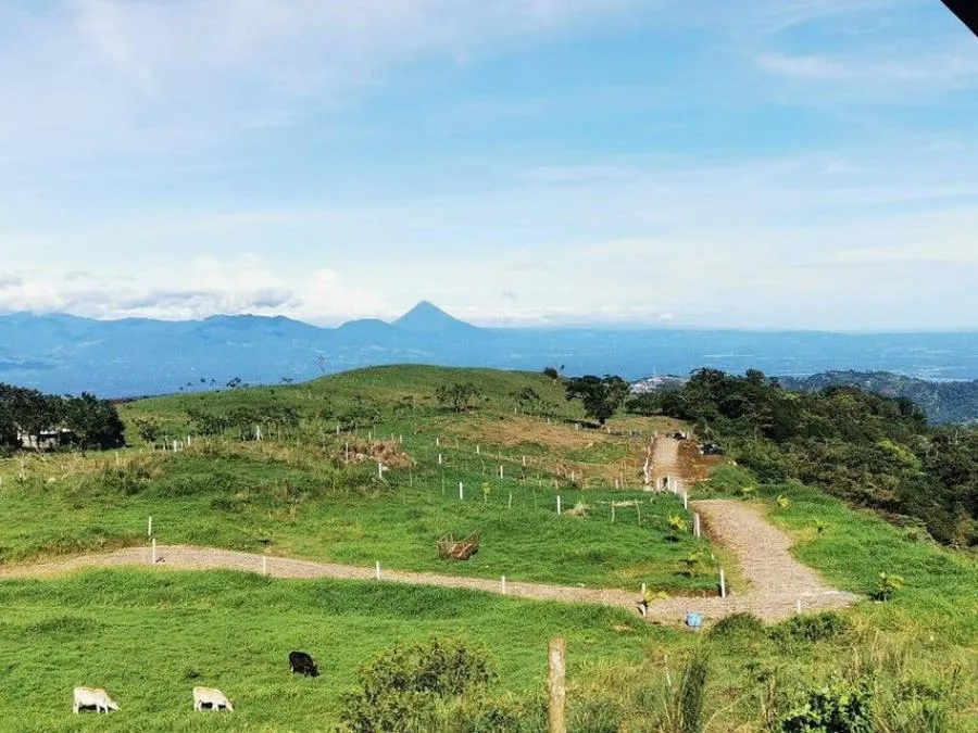 MLS-24-1481 LS LOTE CIUDAD QUESADA SAN CARLOS  - Venta en CIUDAD QUESADA SAN CARLOS