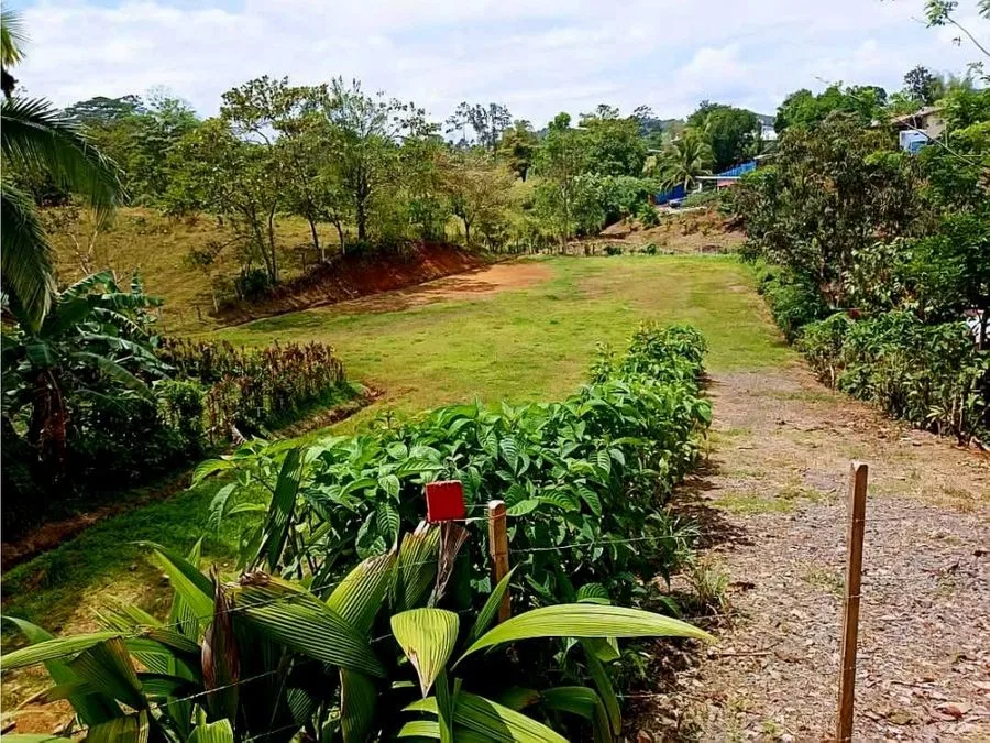 Amplio Lote en Venta en Puerto Viejo de Sarapiquí