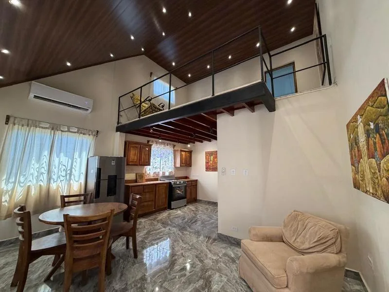 3 Bed Single Family Homes For Sale in Tamarindo, photo 4