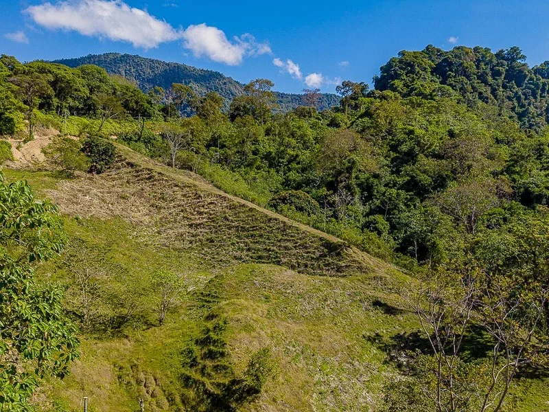 Land For Sale in Uvita, photo 4