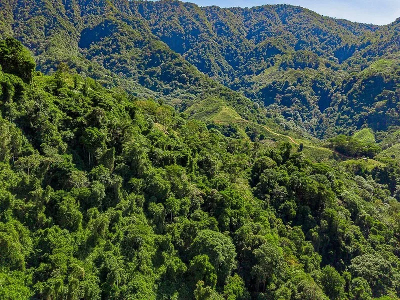 Land For Sale in Uvita, photo 8
