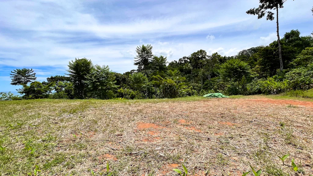 AMAZING WHALE TAIL VIEWS – 4.2 ACRES, photo 17