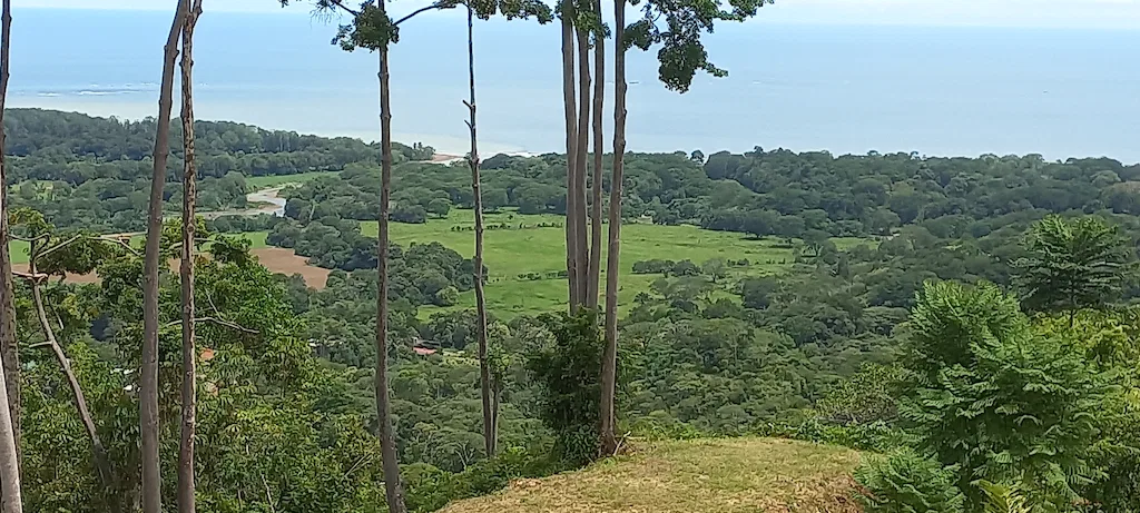AMAZING WHALE TAIL VIEWS – 4.2 ACRES, photo 18