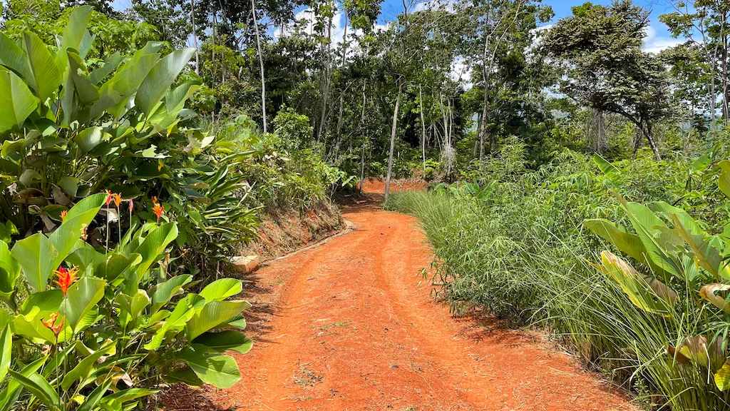 AMAZING WHALE TAIL VIEWS – 4.2 ACRES, photo 19
