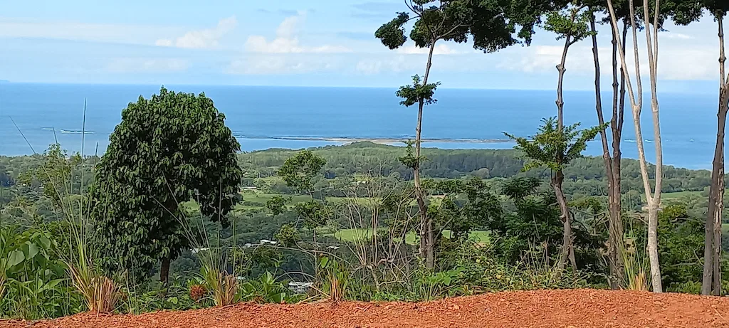 AMAZING WHALE TAIL VIEWS – 4.2 ACRES, photo 3