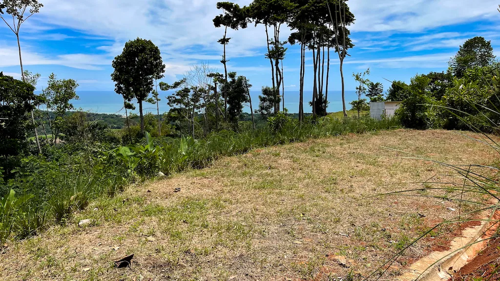 AMAZING WHALE TAIL VIEWS – 4.2 ACRES, photo 21