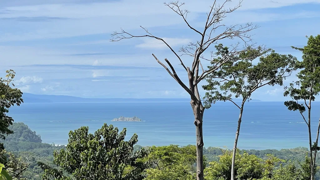 AMAZING WHALE TAIL VIEWS – 4.2 ACRES, photo 23