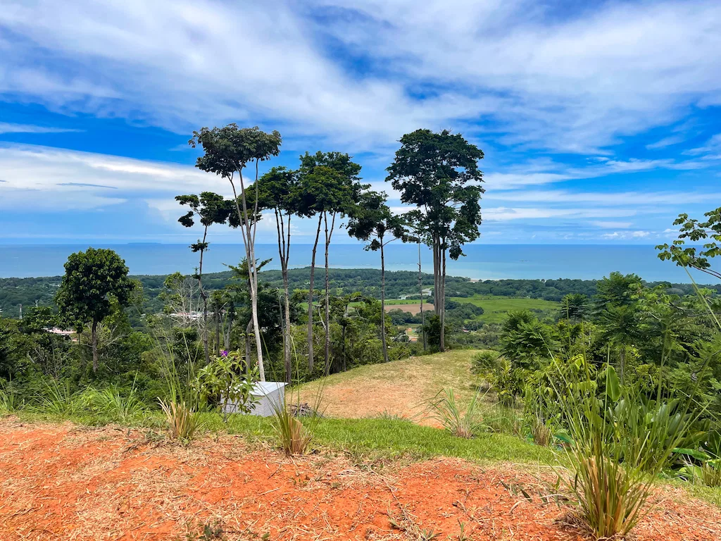 AMAZING WHALE TAIL VIEWS – 4.2 ACRES, photo 8