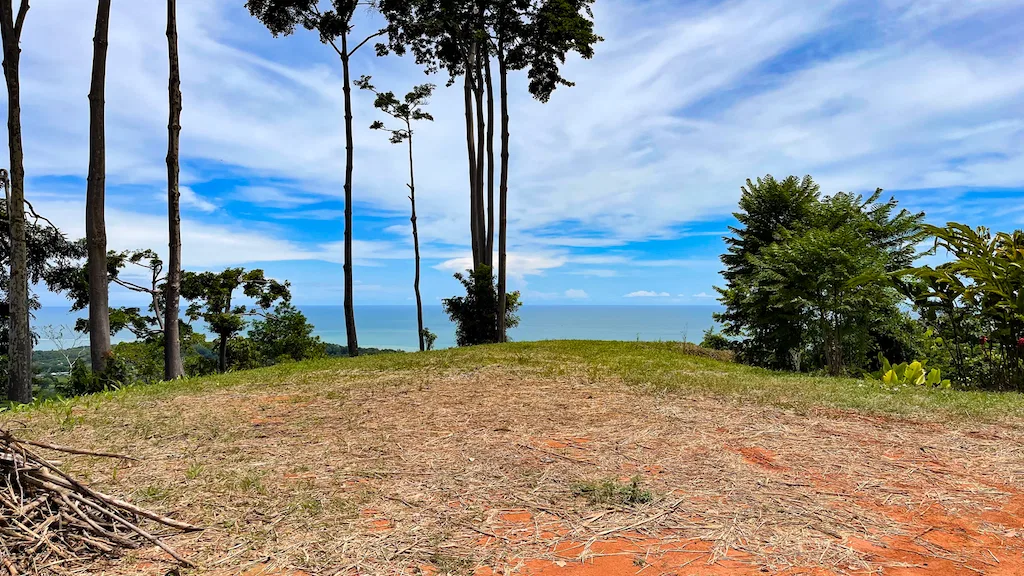 AMAZING WHALE TAIL VIEWS – 4.2 ACRES, photo 9