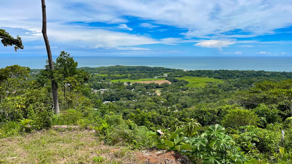 AMAZING WHALE TAIL VIEWS – 4.2 ACRES, photo 10