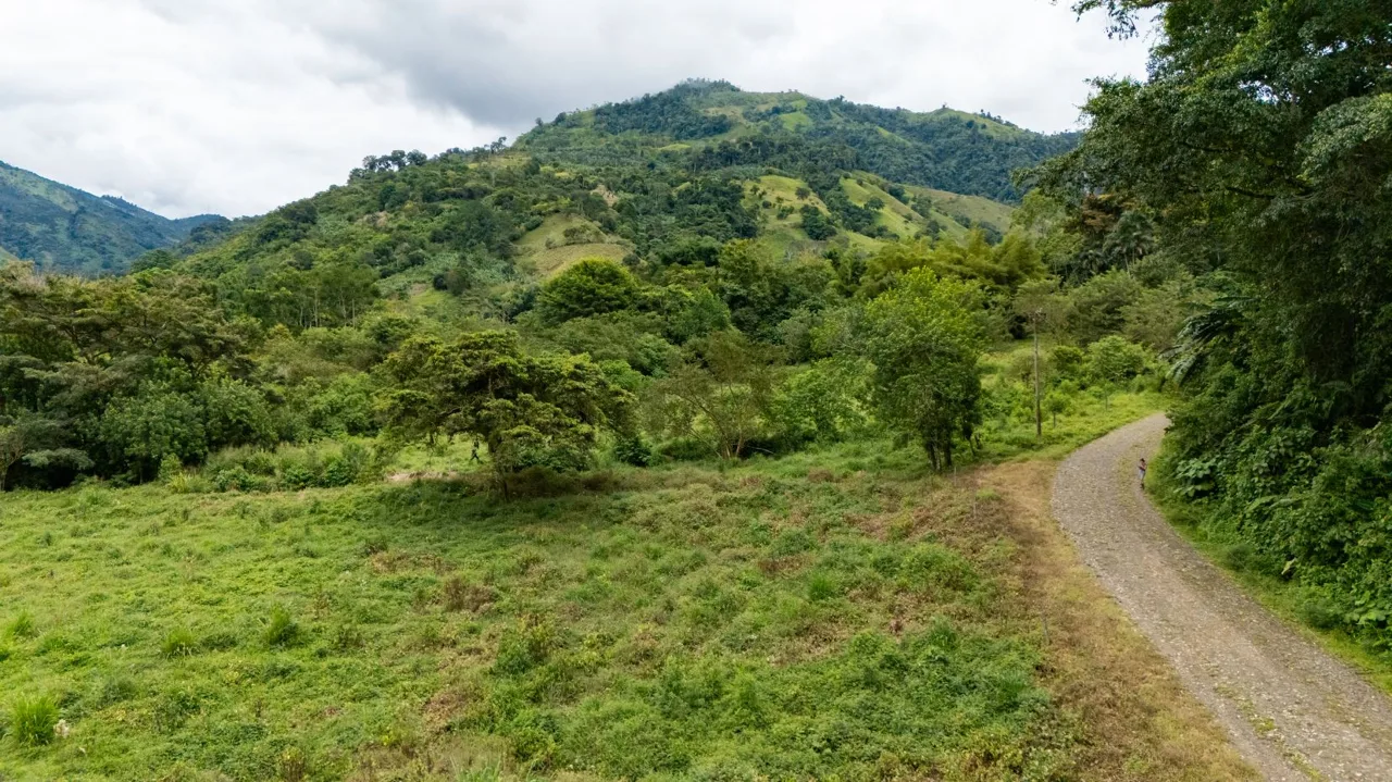 Río Nuevo de Savegre, A Natural Paradise in the Heart of Costa Rica’s Southern Pacific, photo 12