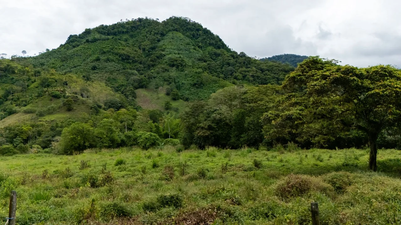 Río Nuevo de Savegre, A Natural Paradise in the Heart of Costa Rica’s Southern Pacific, photo 13