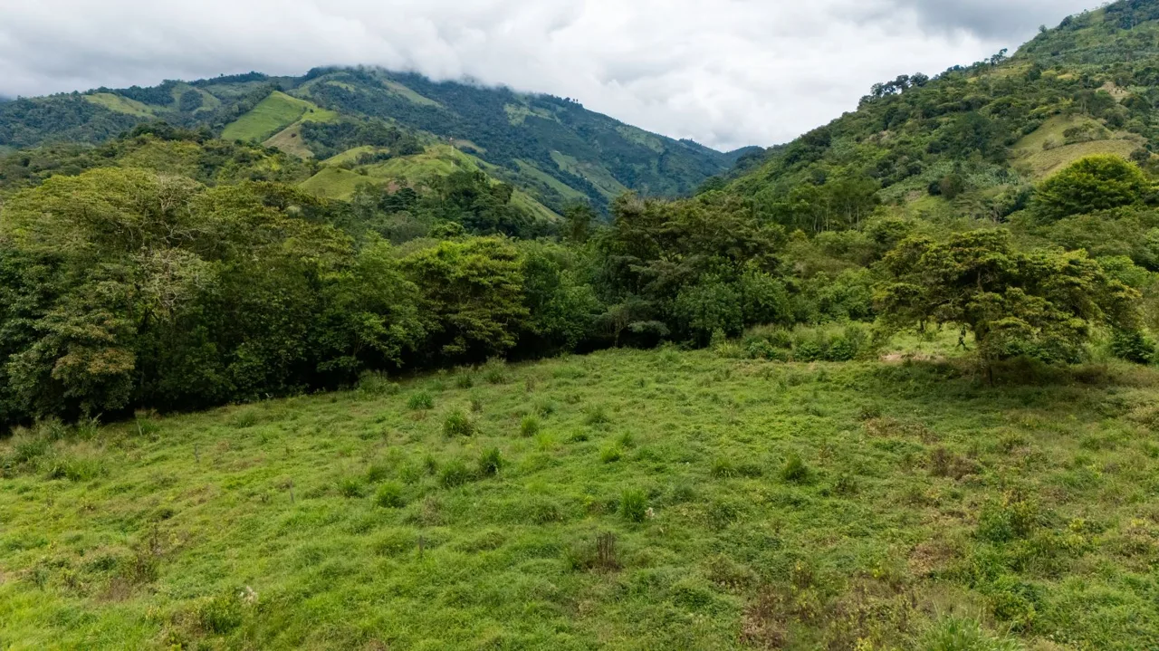 Río Nuevo de Savegre, A Natural Paradise in the Heart of Costa Rica’s Southern Pacific, photo 14