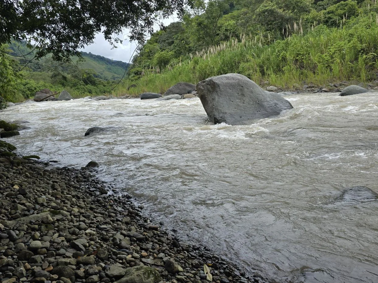 Río Nuevo de Savegre, A Natural Paradise in the Heart of Costa Rica’s Southern Pacific, photo 15