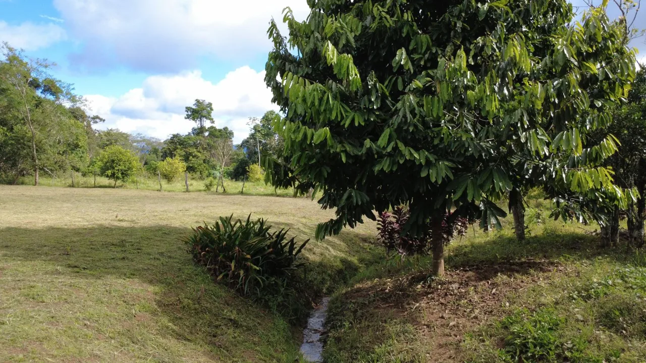 Sustainable Property For Sale in the privacy of Perez Zeledon, Rosario De Pacuar, photo 11