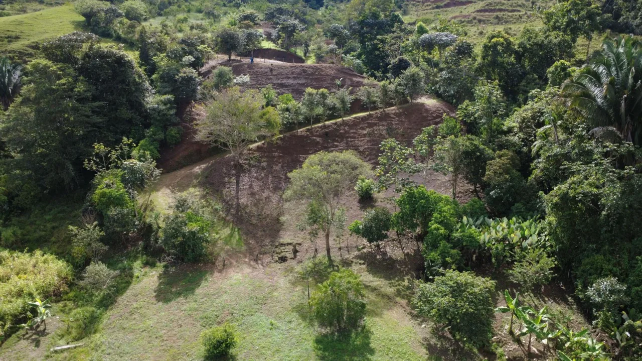 Sustainable Property For Sale in the privacy of Perez Zeledon, Rosario De Pacuar, photo 13