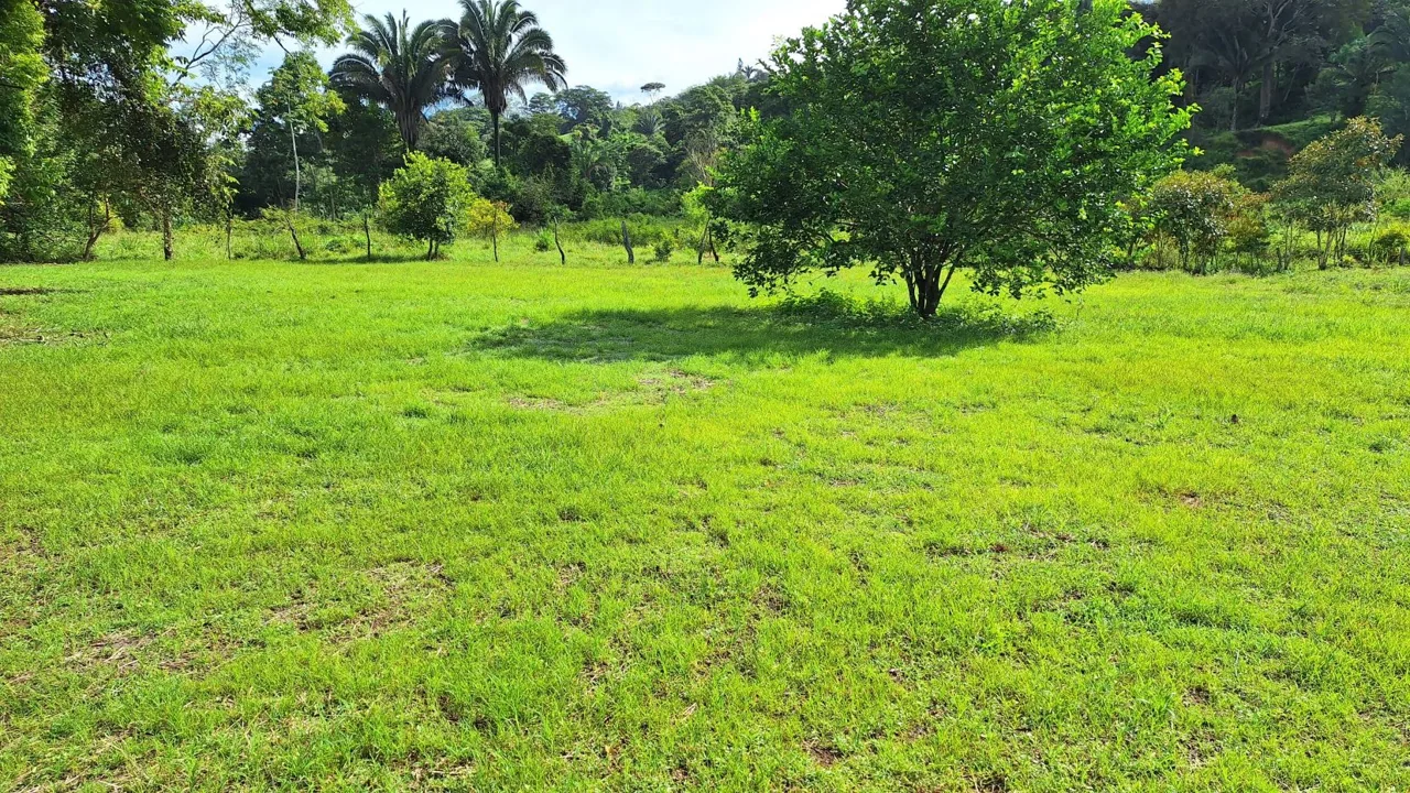 Sustainable Property For Sale in the privacy of Perez Zeledon, Rosario De Pacuar, photo 15