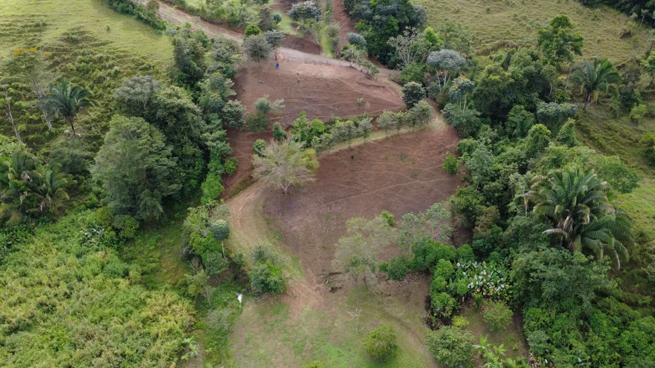Sustainable Property For Sale in the privacy of Perez Zeledon, Rosario De Pacuar, photo 8
