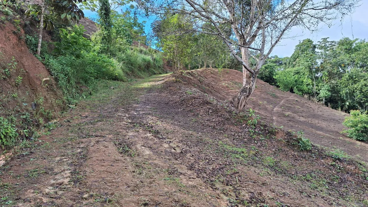 Sustainable Property For Sale in the privacy of Perez Zeledon, Rosario De Pacuar, photo 9