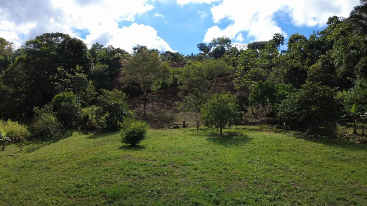 Sustainable Property For Sale in the privacy of Perez Zeledon, Rosario De Pacuar, photo 10