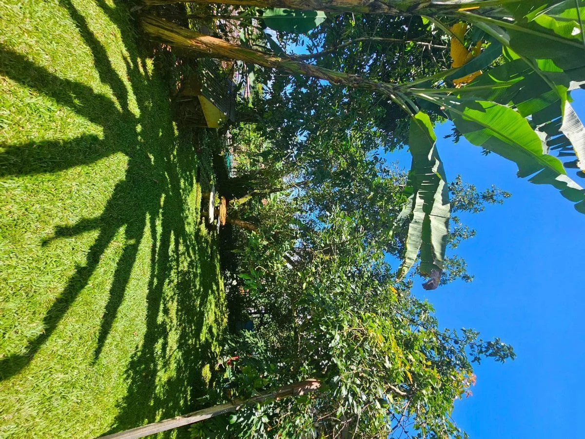 HERMOSA CASA EN VENTA UBICADA EN EL CENTRO DE PEREZ ZELEDON - Venta en Perez Zeledón, photo 9