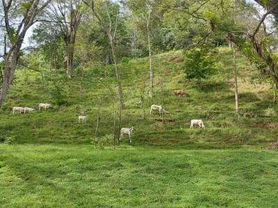 Finca Concepción