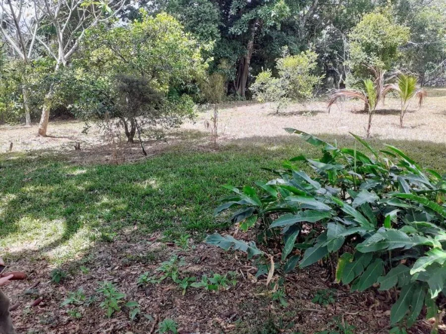 Terreno en Venta en San Rafael, Escazú MLS #23-2360 CL - Venta en Escazú, photo 13
