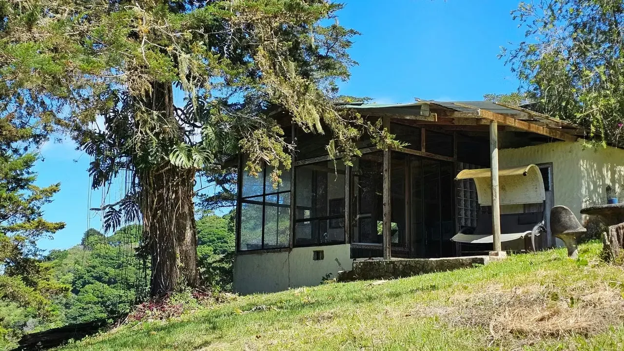 Excelente oportunidad para adquirir una propiedad de 9.950 m², ubicada en una zona ..., photo 2