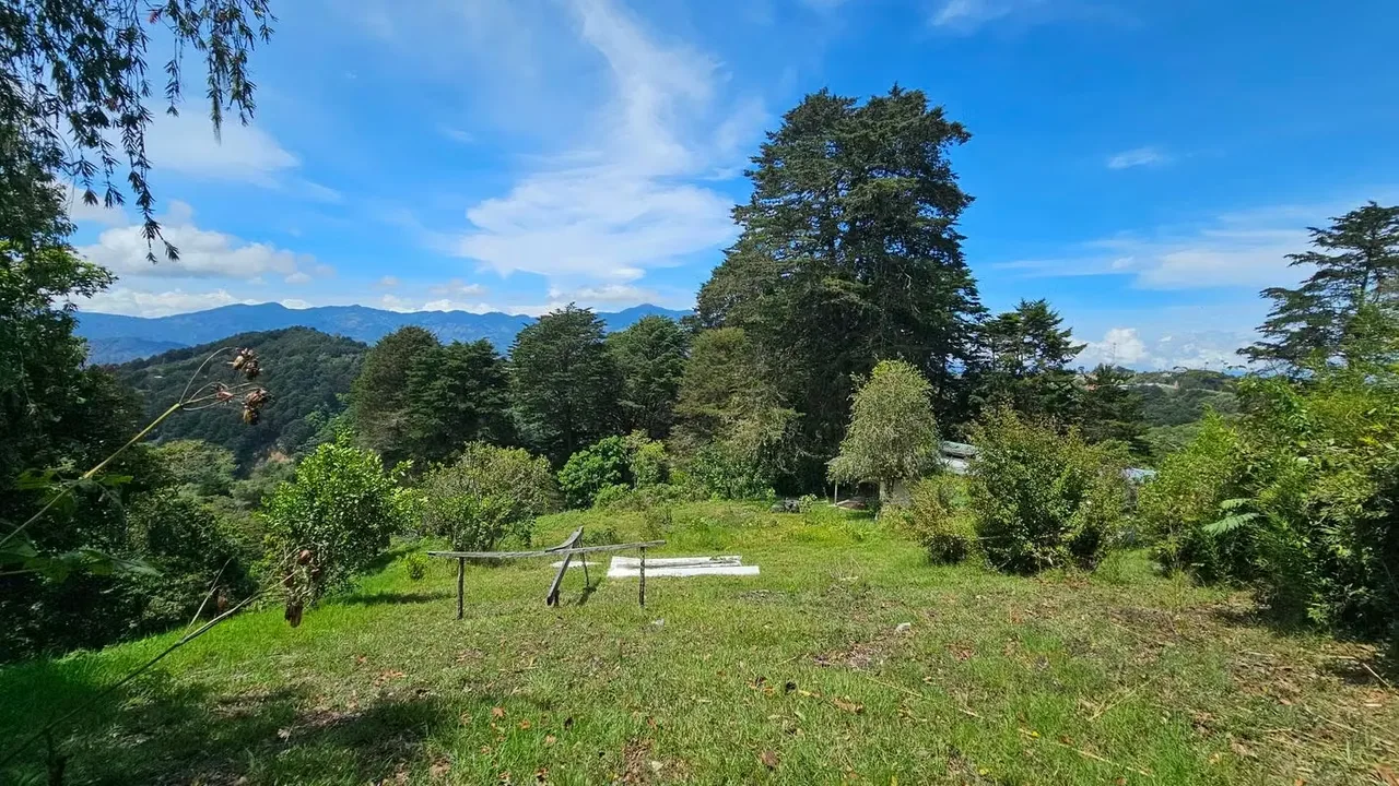 Excelente oportunidad para adquirir una propiedad de 9.950 m², ubicada en una zona ..., photo 4