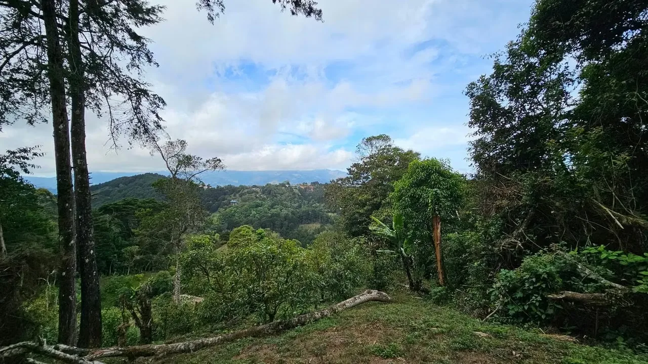 Excelente oportunidad para adquirir una propiedad de 9.950 m², ubicada en una zona ..., photo 5
