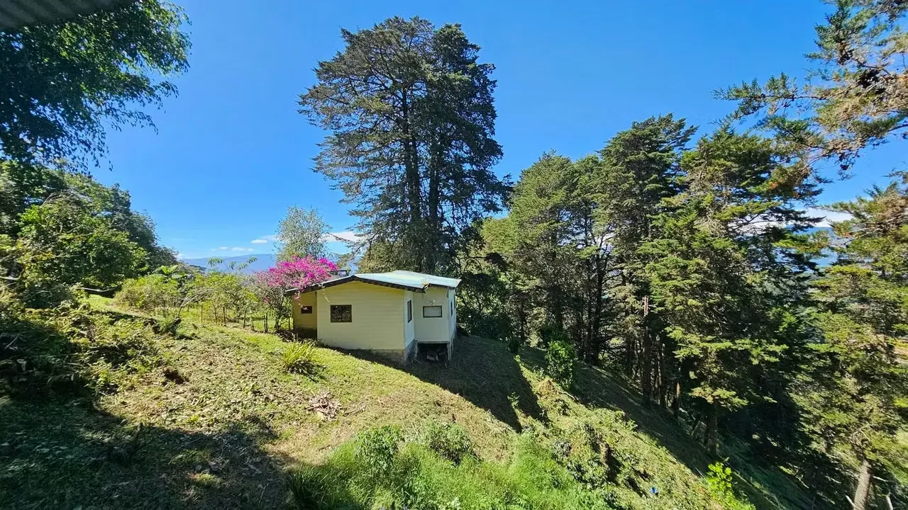 Excelente oportunidad para adquirir una propiedad de 9.950 m², ubicada en una zona ..., photo 7