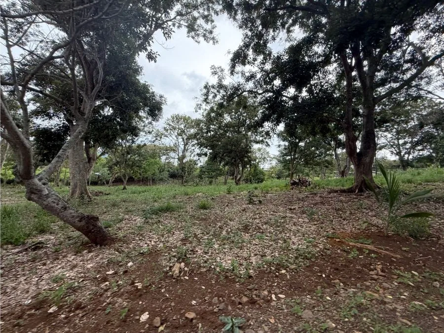Se venden dos lotes contiguos en Atenas, en un entorno tipo parque, photo 6