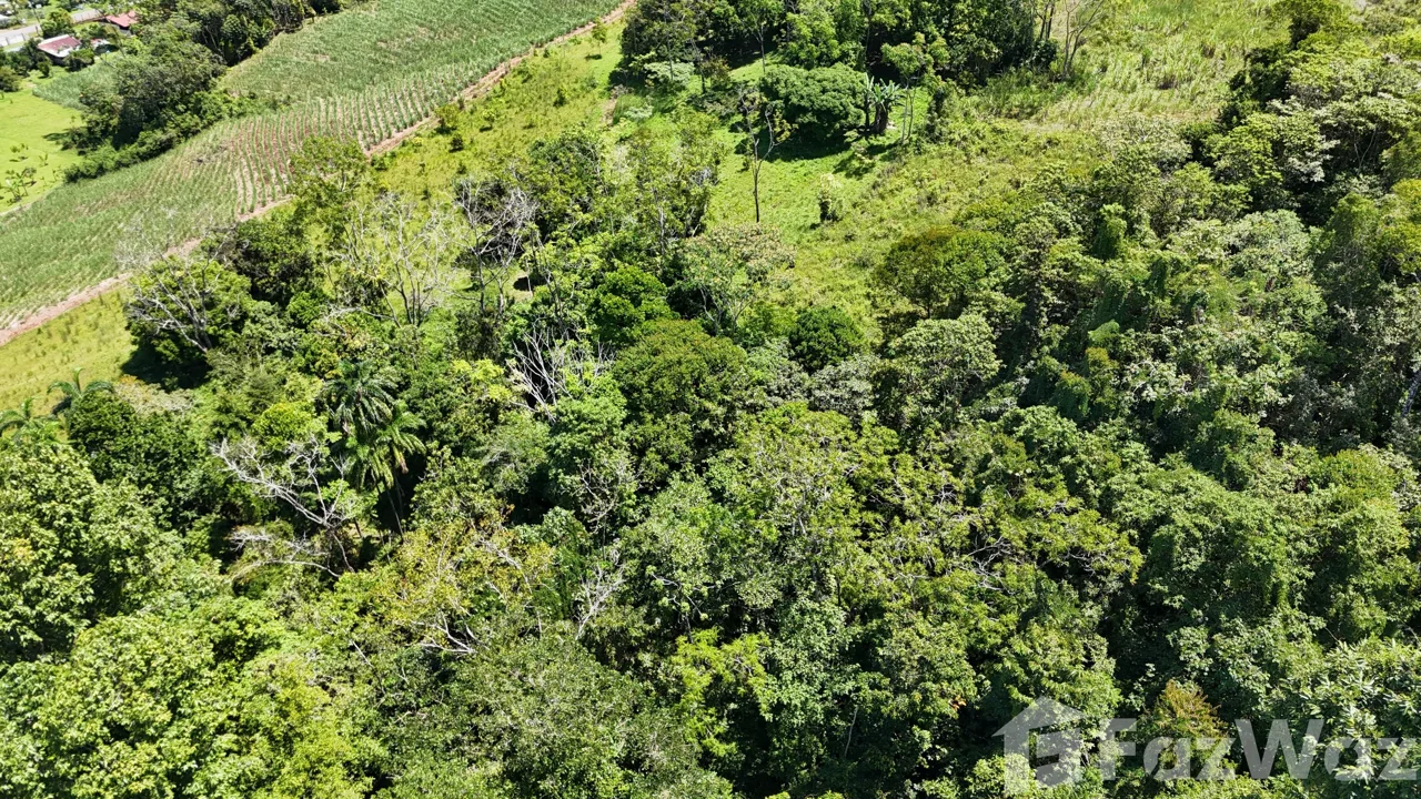 Land for Sale in Perez Zeledon, San Jose for $175,000, photo 11