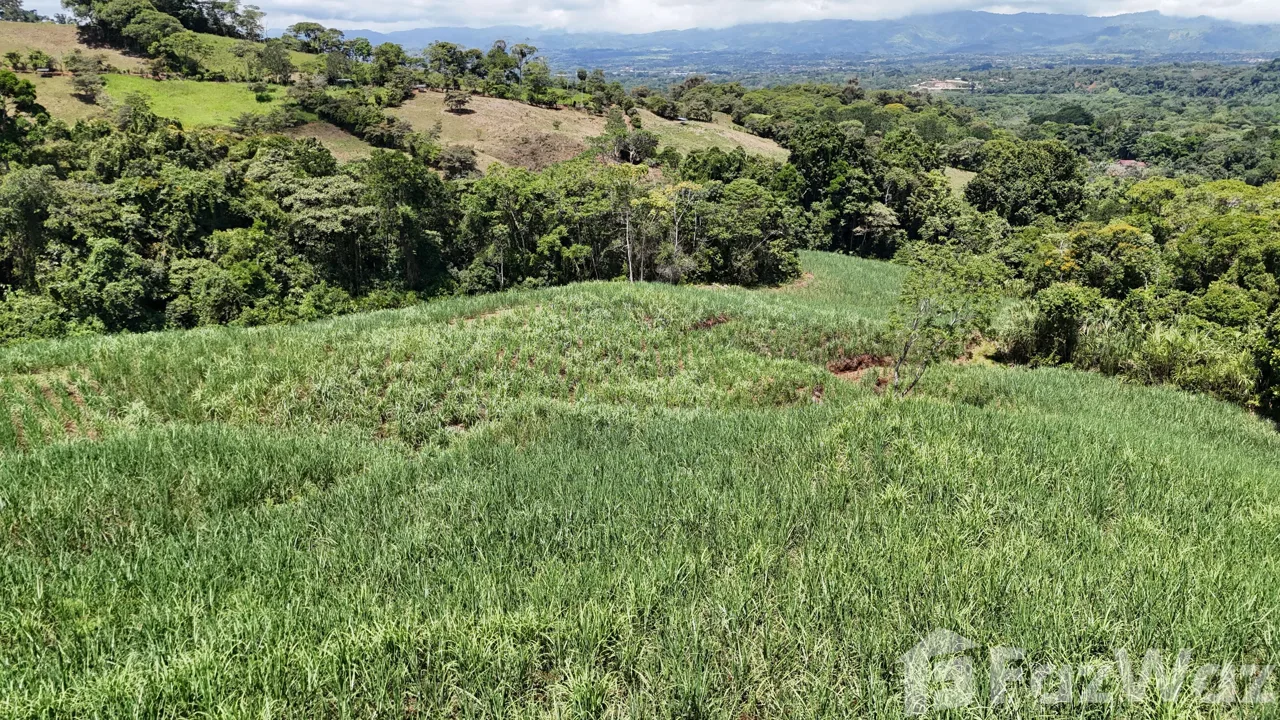 Land for Sale in Perez Zeledon, San Jose for $175,000, photo 3