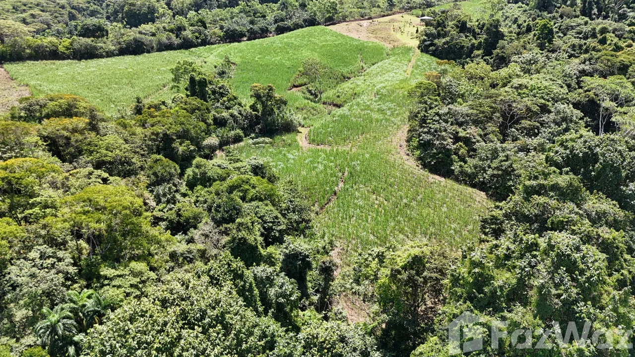 Land for Sale in Perez Zeledon, San Jose for $175,000, photo 6