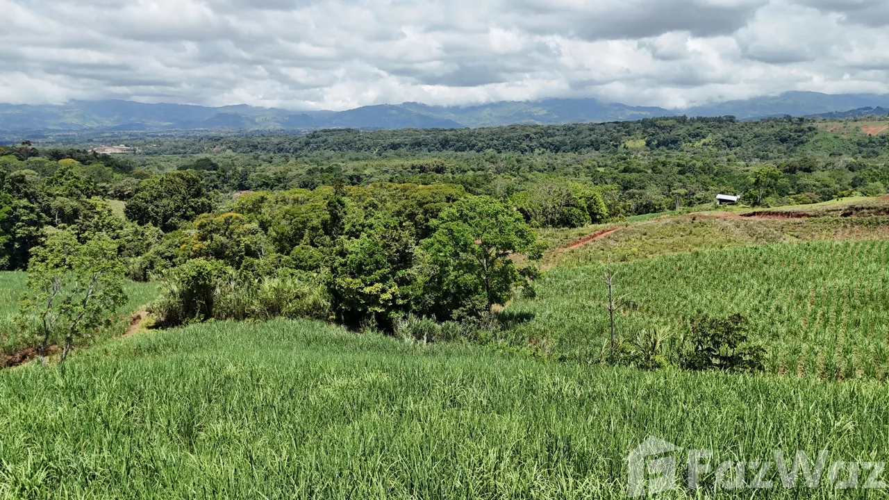 Land for Sale in Perez Zeledon, San Jose for $175,000, photo 7