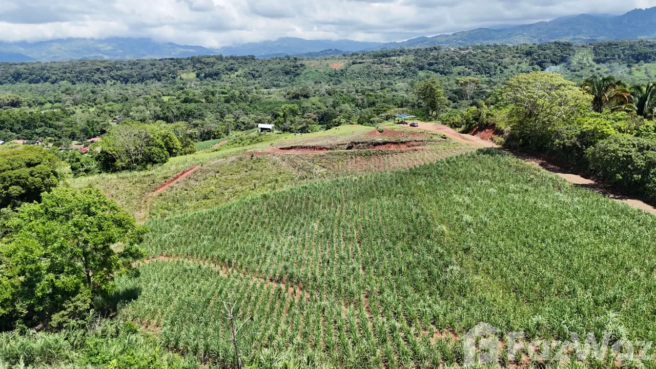 Land for Sale in Perez Zeledon, San Jose for $175,000, photo 8
