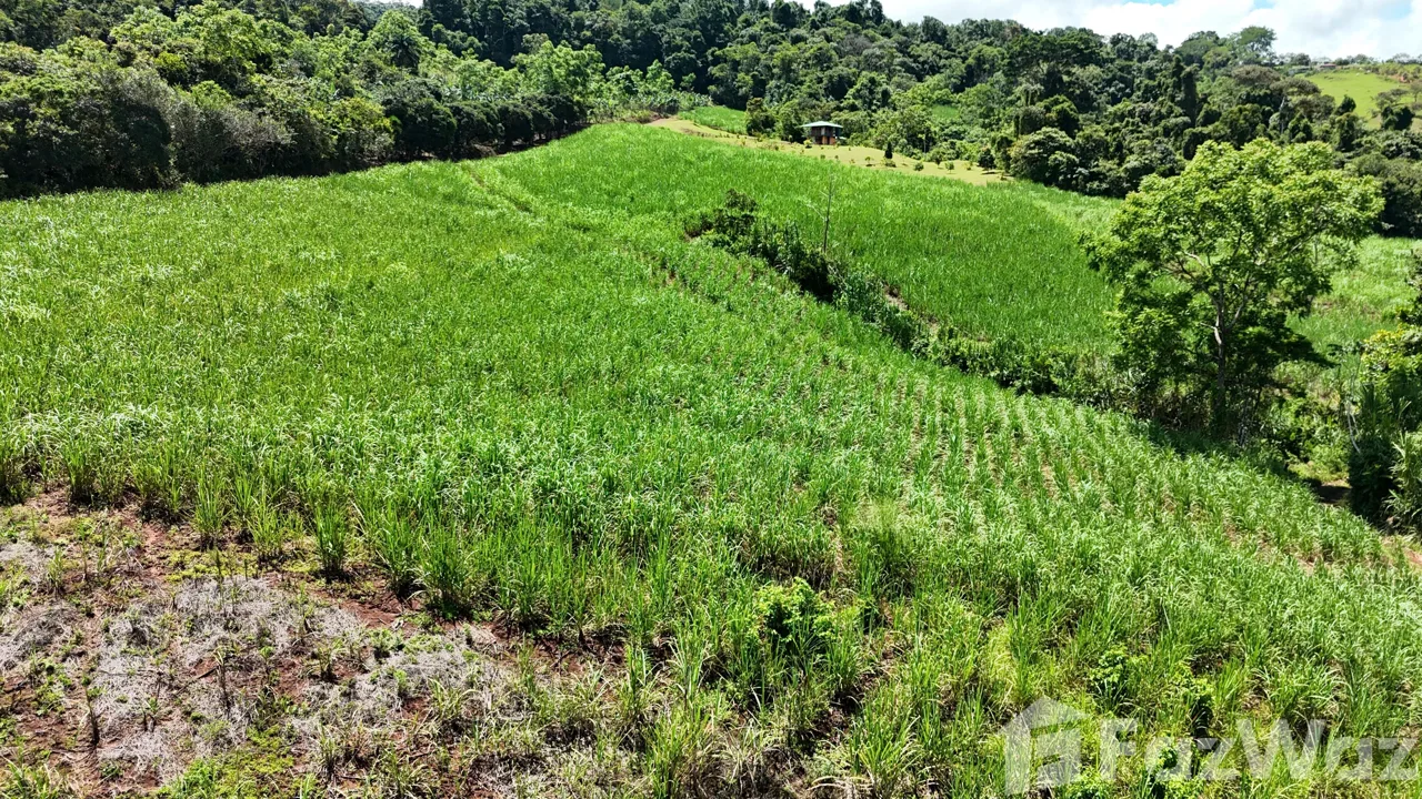 Land for Sale in Perez Zeledon, San Jose for $175,000, photo 9