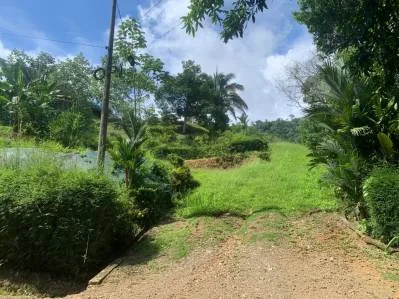 Playa Hermosa: Two Locations to Build, Permits Ready, photo 17