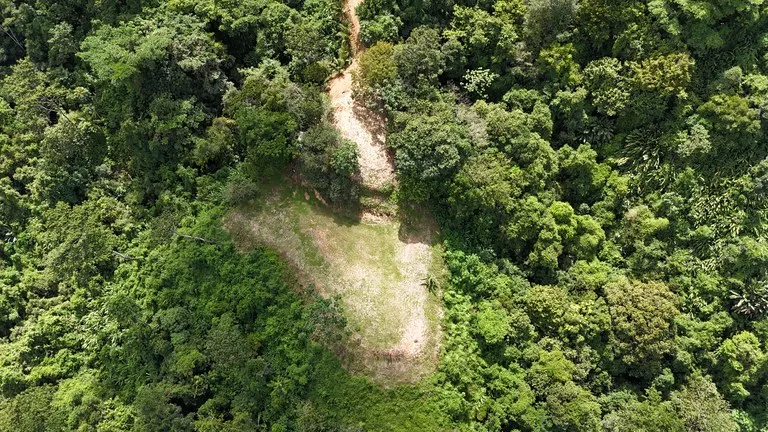 Stunning Ocean, Mountain, and Valley View Property in Tres Rios, photo 2