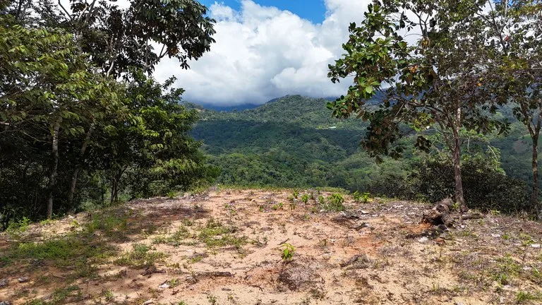 Stunning Ocean, Mountain, and Valley View Property in Tres Rios, photo 11